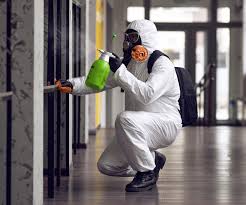 Best Mold Odor Removal Services  in Hawthorne, NJ